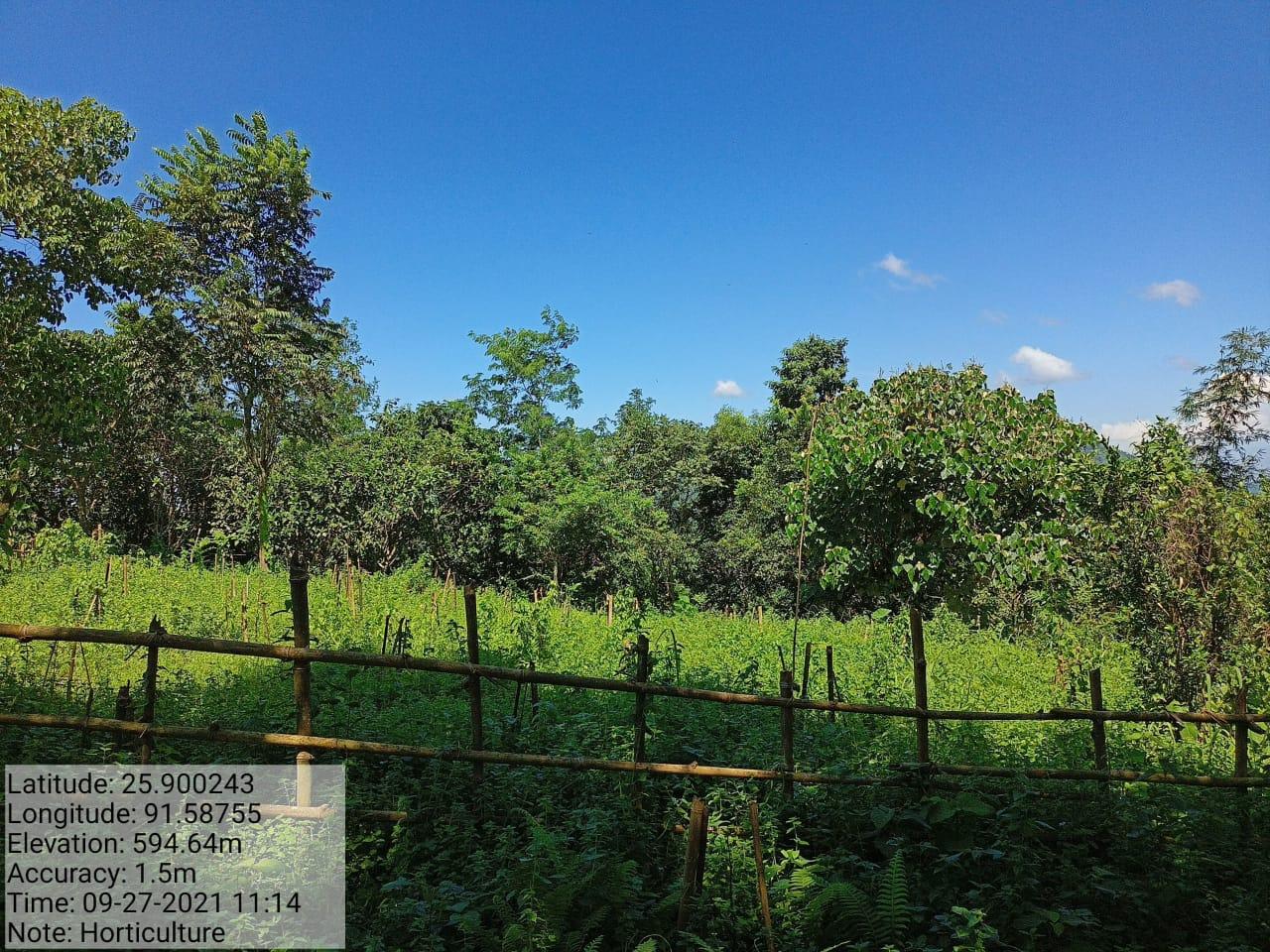 D:\chel's\basin\JIRANG BLOCK\nonglum\IMG-20220607-WA0002.jpg